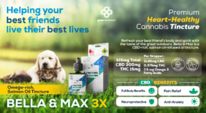 Calming Cannabis for Pets: How CBD Can Help Soothe Your Anxious Companion