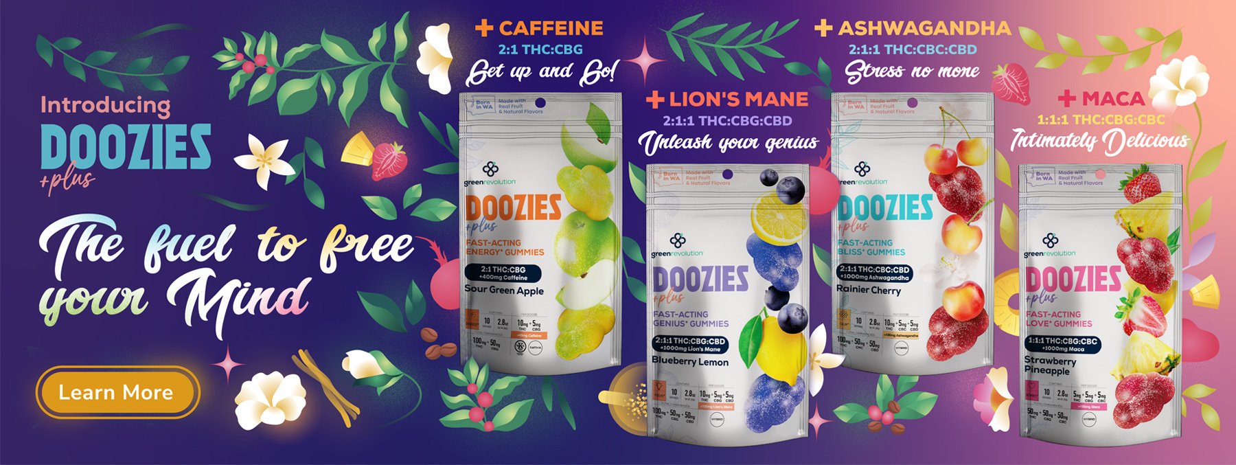 Doozies Plus Website Banner 1